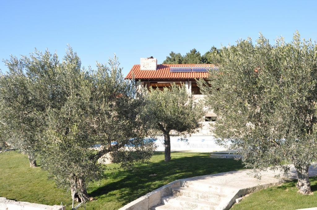 Vilas Boas  Quinta Do Olival旅馆 外观 照片