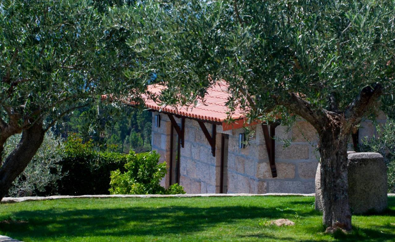 Vilas Boas  Quinta Do Olival旅馆 外观 照片